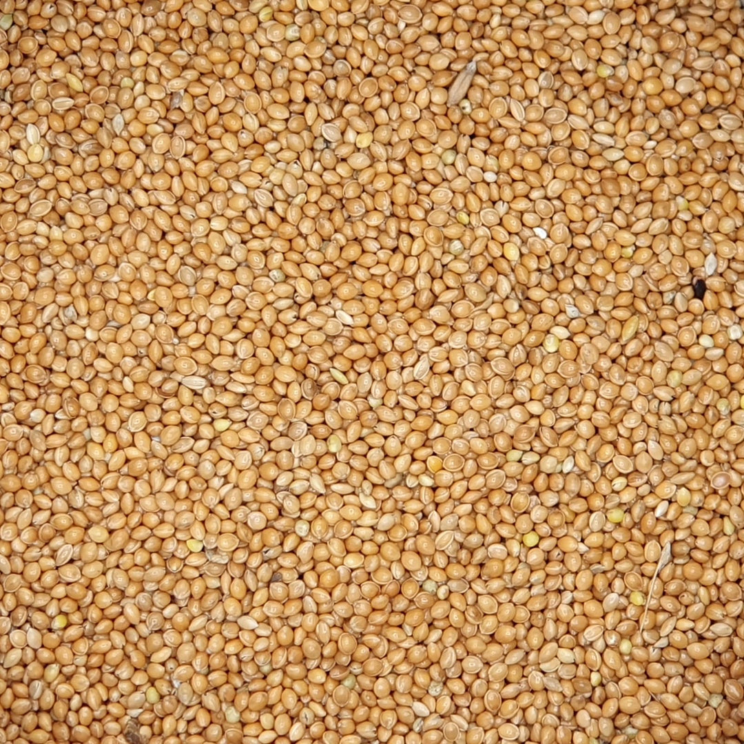 Versele Laga Panizo in Körnung, 25 kg.