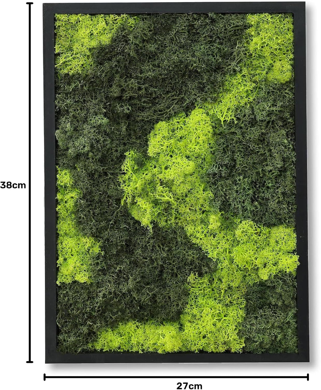 comforder Rechteckiges Wandbild mit echtem Moos (27x38 cm), Konserviertes Moosbild mit Holzrahmen, N