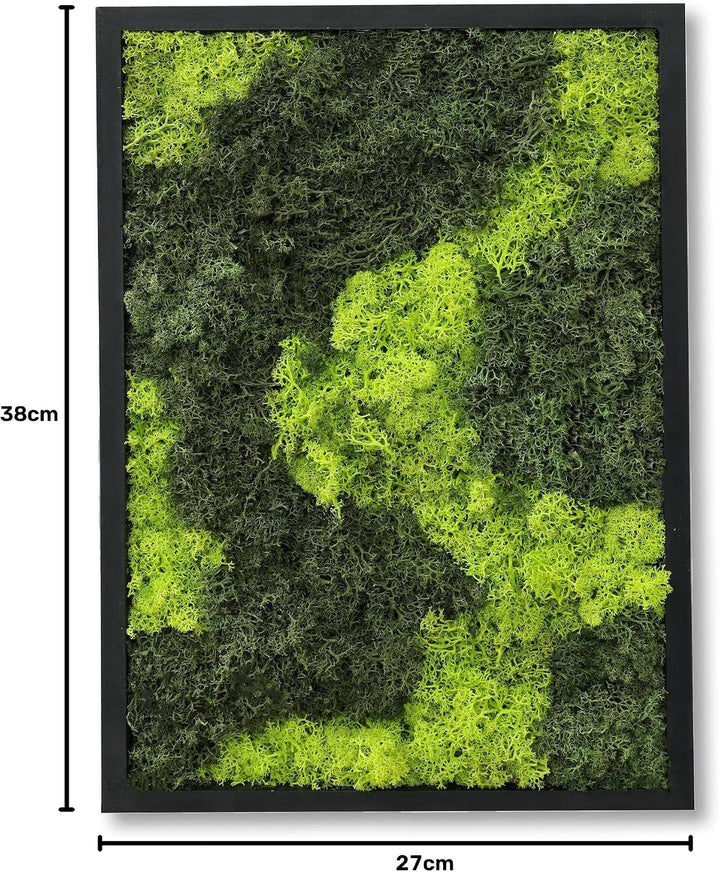 comforder Rechteckiges Wandbild mit echtem Moos (27x38 cm), Konserviertes Moosbild mit Holzrahmen, N