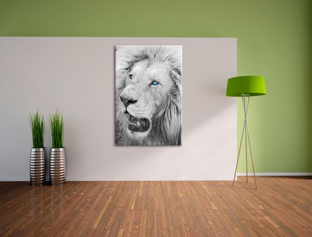prächtiger weisser Löwe schwarz/weiss auf Leinwand, XXL riesige Bilder fertig gerahmt mit Keilrahmen