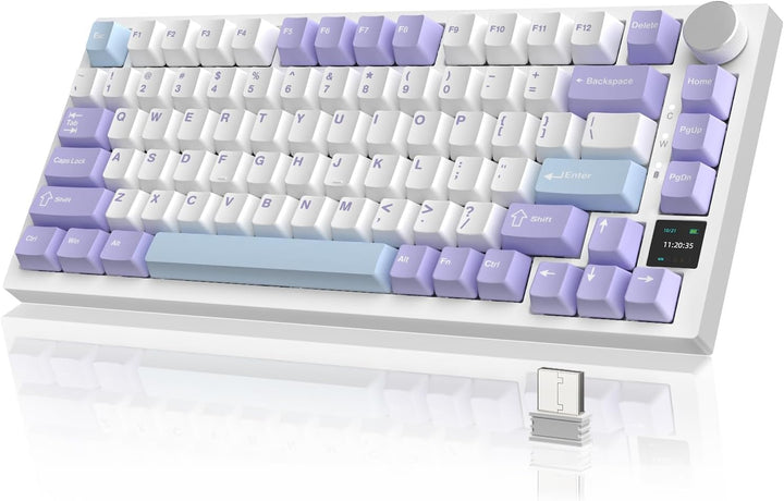 AJAZZ AK820PRO 75% TKL mechanische Tastatur,2,4G kabellos/BT5.1/USB-C verkabelt,81 Tasten mit TFT-Fa