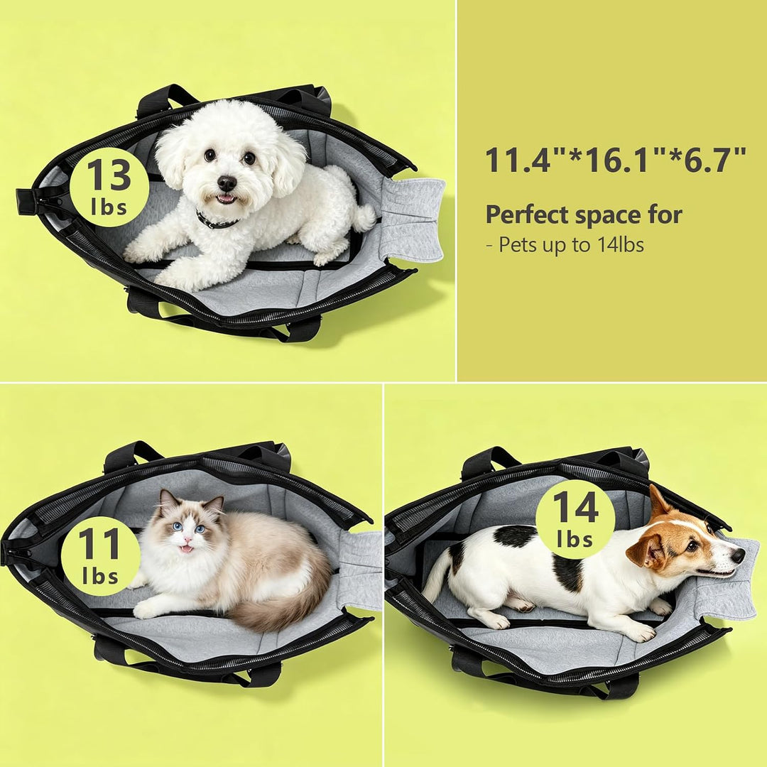 Ownpets Hundetragetasche für Hunde &amp; Katzen, bis 6kg, freihändig Schwarz M Ganzjahres, Schwarz M Gan