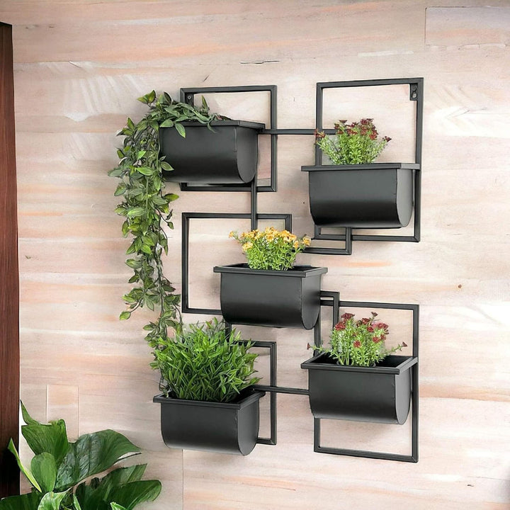 DanDiBo Kräuterregal Küche Wand Metall Schwarz 96525 Wandregal Blumenregal Pflanzenhalter Wandblumen