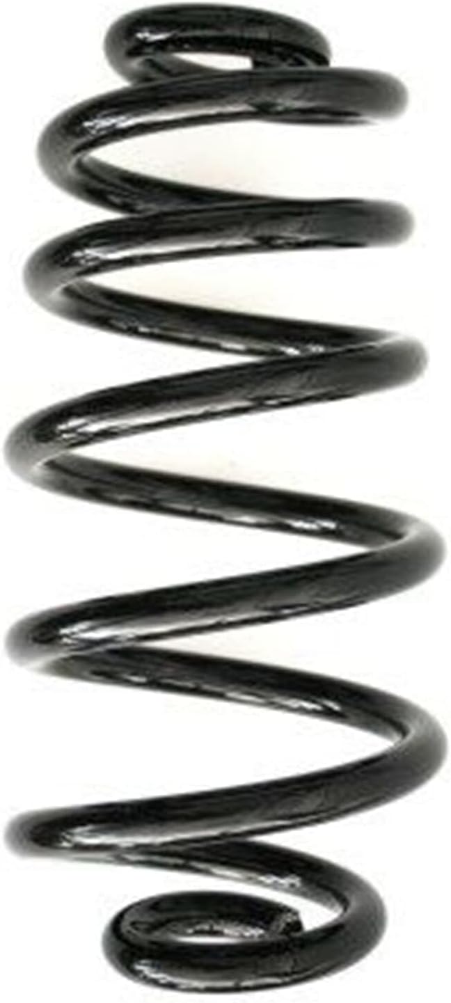 SPIDAN 56855 Fahrwerksfeder