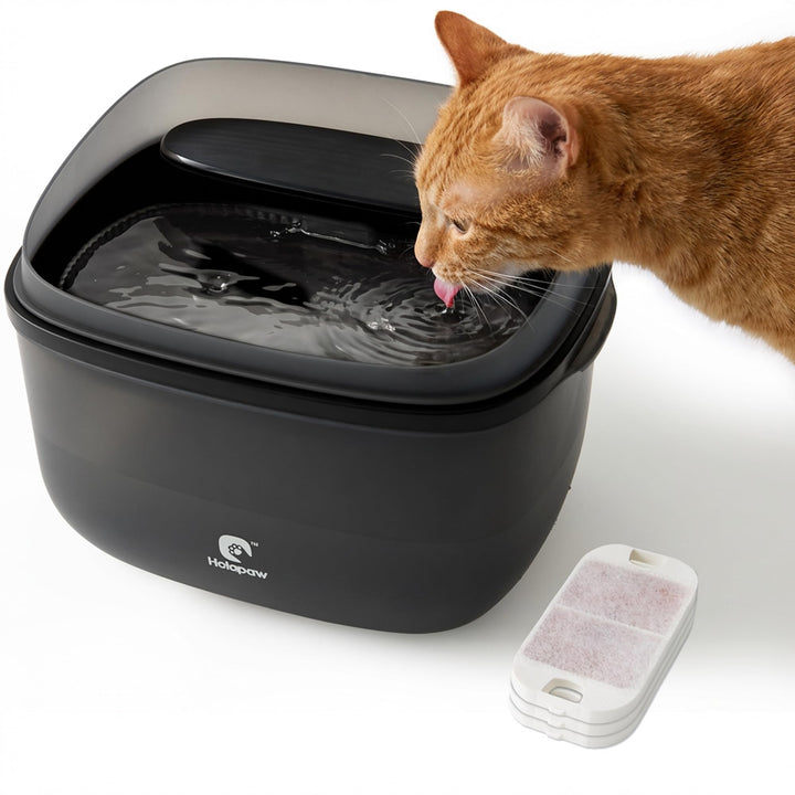Katzenbrunnen 3,78L - Trinkbrunnen für Katzen mit Anti-Spill Guard, Wasserbrunnen Super Leiser mit 3