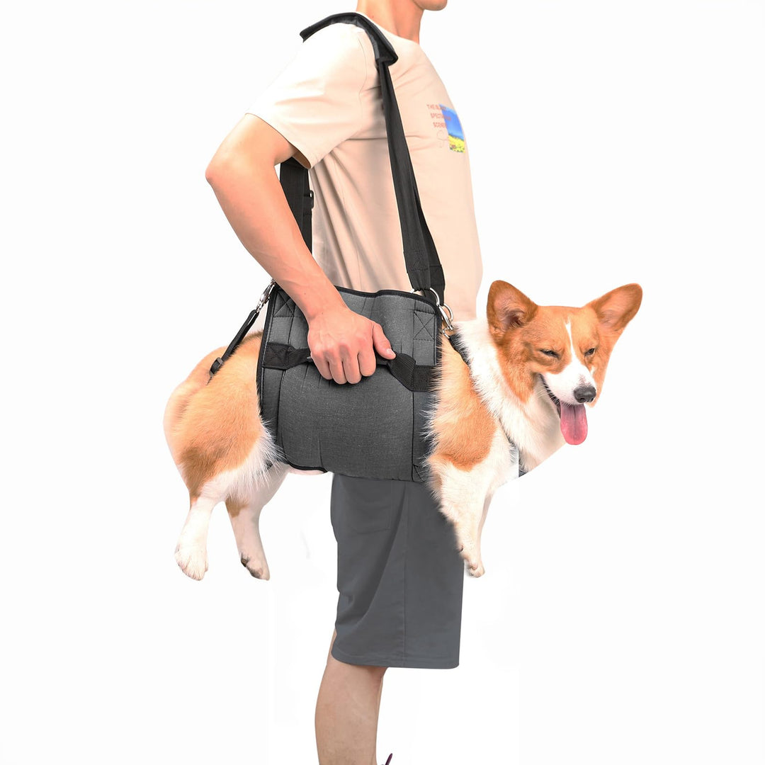 COODEO Hundetragegurt, Notfallrucksack Unterstützung für Rehabilitation Hundelift Geschirr, Hundeträ