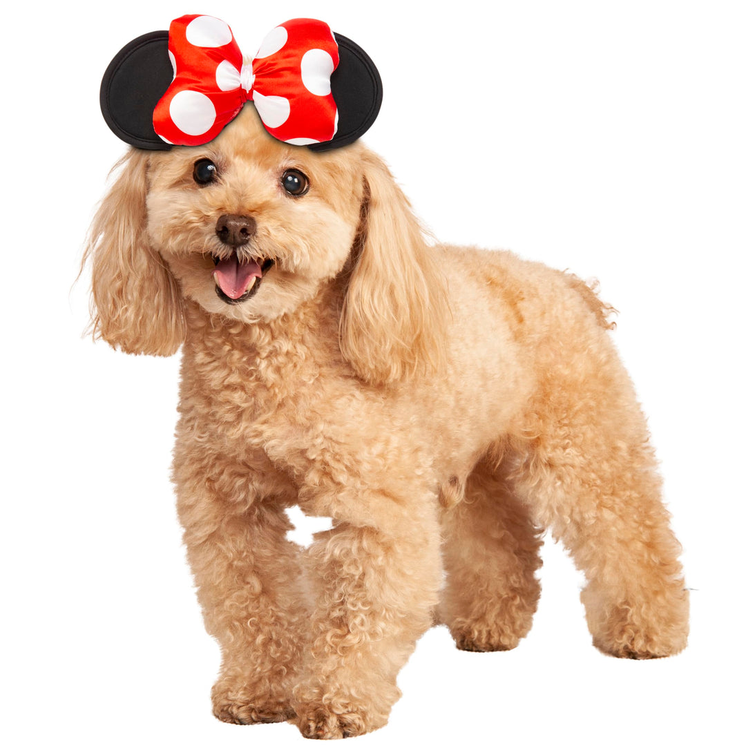 Minnie Mouse Haustierkostüm, Minnie Maus, Small/Medium Small / Medium minnie maus, Small / Medium mi