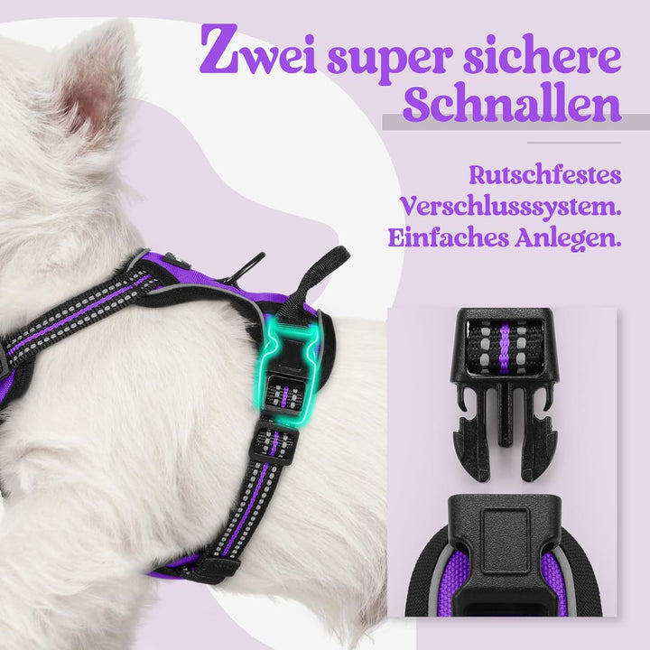 rabbitgoo Hundegeschirr Kleine Hunde, Anti Zug Geschirr mit Kontrolle, No Pull Verstellbar Hundegesc