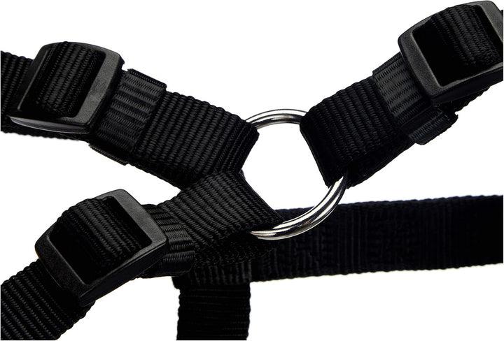 TRIXIE Classic H-Geschirr Grösse M–L: Brustumfang 50–75 cm/20 mm in schwarz - verstellbares Führungs