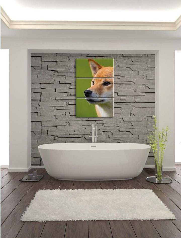 Pixxprint anmutiger Finnen-Spitz Hund im Gras 3-Teiler Leinwandbild 120x80 Bild auf Leinwand
