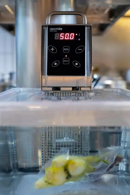 Sous Vide Tools Container aus Polycarbonat, 20 l, mit Deckel für den Sous-Vide-Stick von Anova, nich