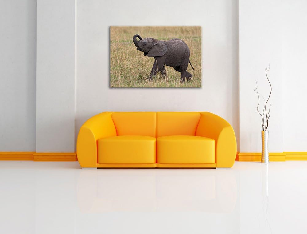 kleines Elefantenjunges Leinwand, XXL riesige Bilder fertig gerahmt mit Keilrahmen, Kunstdruck auf W