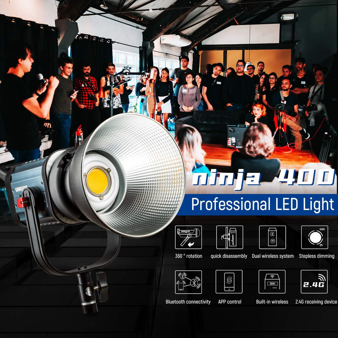 Weeylite 150W LED Videoleuchte 2500K-8500K dimmbare Bi-Farbe, Strobe Studioleuchte mit Fernbedienung