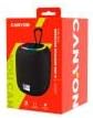 Canyon Bluetooth Speaker BSP-8 schwarz