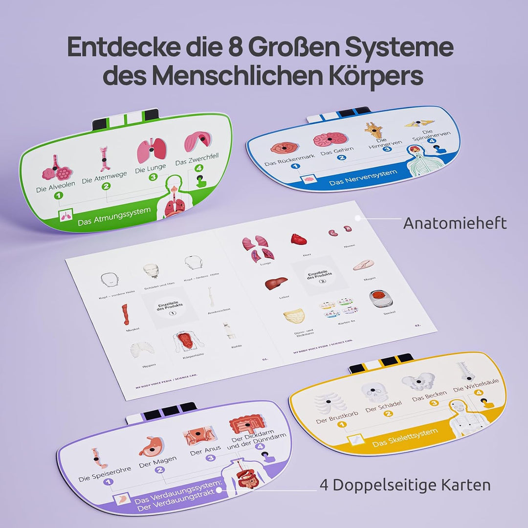 Science Can Anatomiemodell für Kinder, Menschliche Körper Set, Interaktive Spielzeug - Englisch, 22c