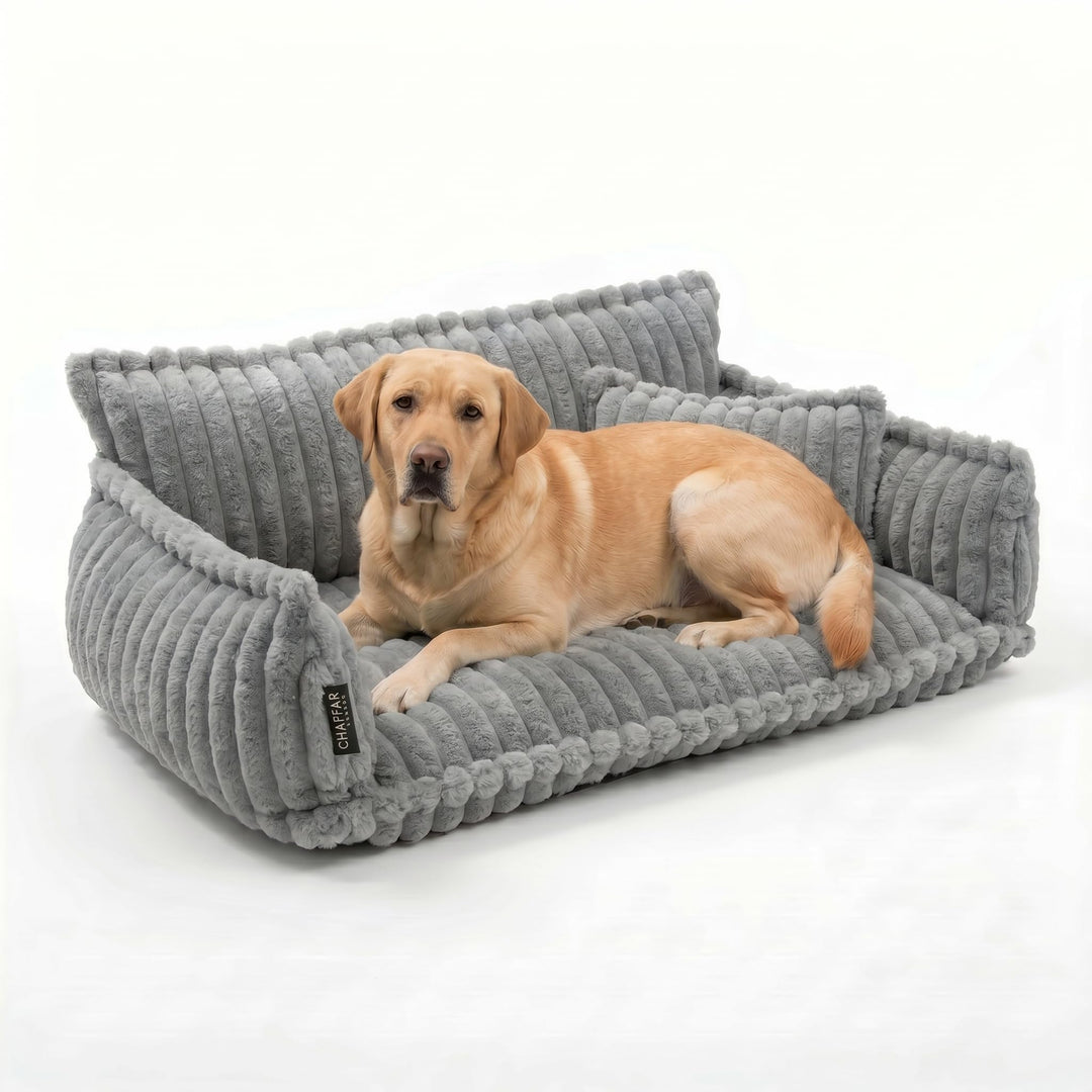 noviclass® Haustiersofa Chaffar Hundebett | Katzensofa Hundesofa | Orthopädische Matratze | Moderner