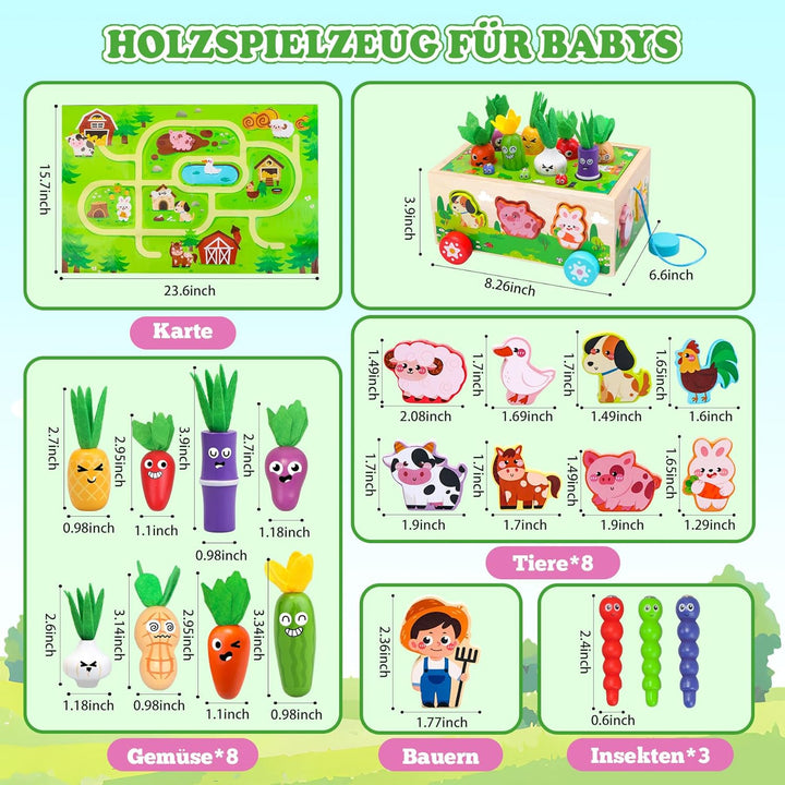 Tooysea Montessori Spielzeug ab 1 2 3 Jahr, Montessori Spielzeug Baby mit Landkarte, Karotten Stecks