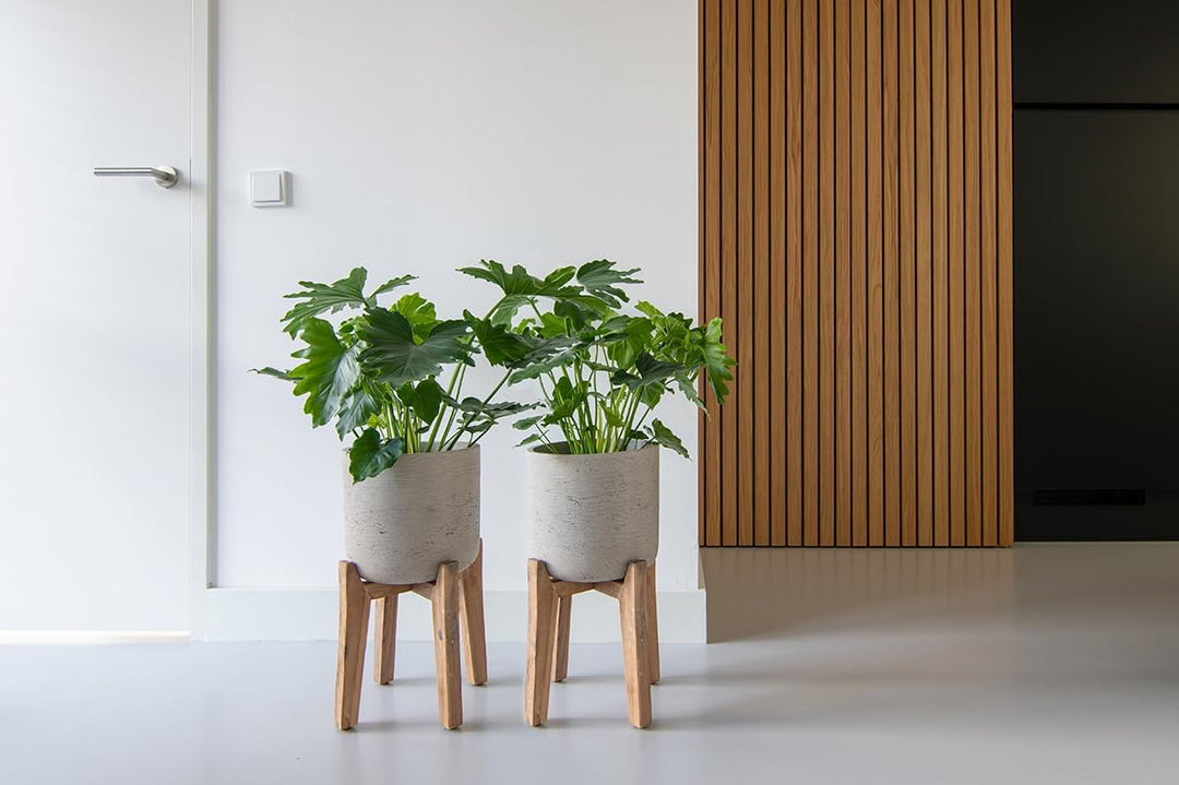 Finestgreen Charlie Feet High | Handgefertigtes Pflanzgefäss auf Holzfüssen (XL Ø:40 H:67 cm, Grau)