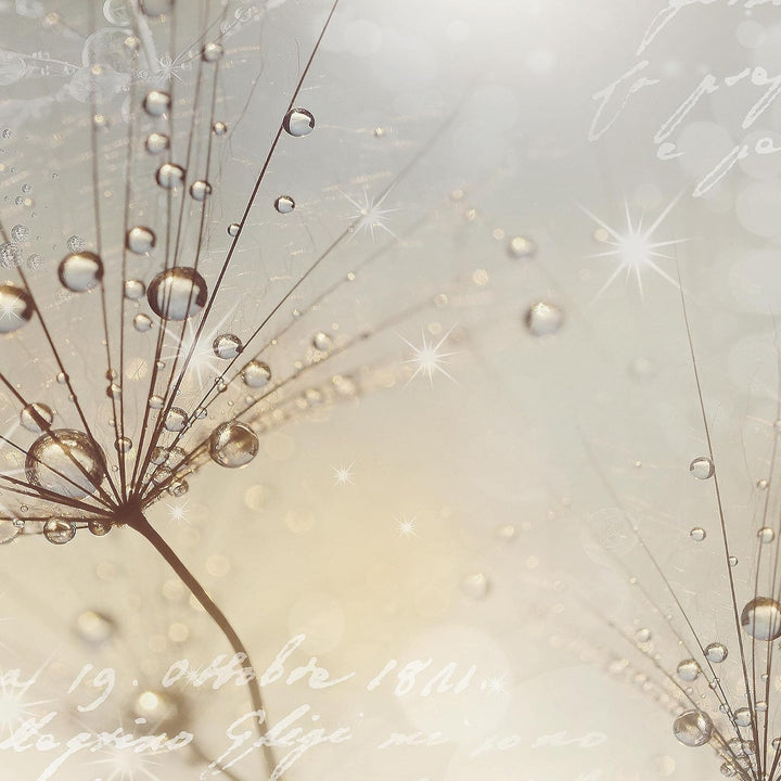 Runa Art Wandbilder Blumen Pusteblume 5 Teilig Bild auf Vlies Leinwand Deko Wohnzimmer Gräser Beige