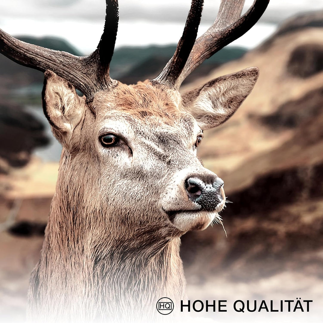 Novart Bilder Set - AUFHÄNGFERTIG - KEIN EXTRA RAHMEN BENÖTIGT - Wald Hirsch Modern Natur Berge - Wo