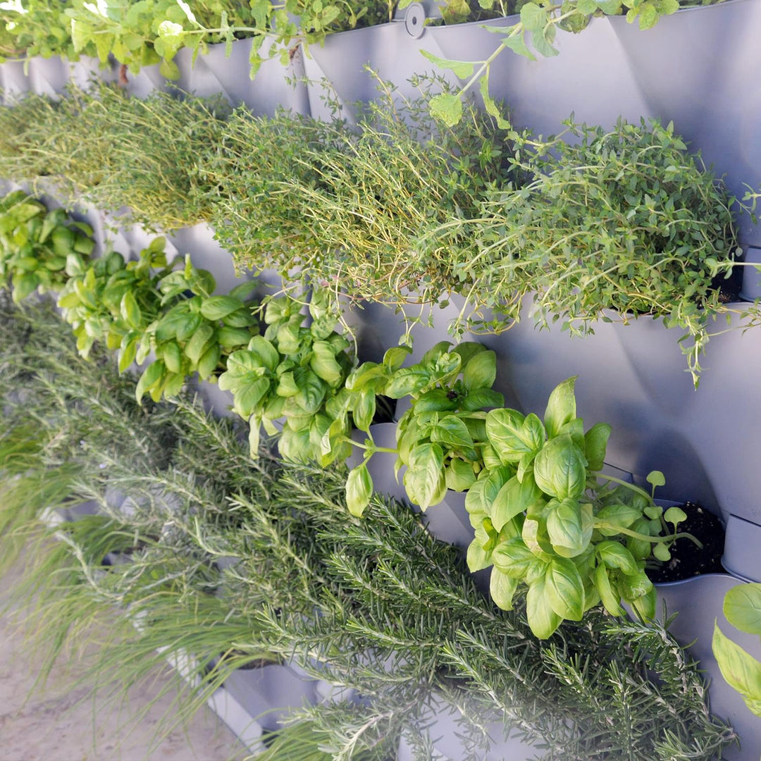 Minigarden Vertical 1 Set für 9 Pflanzen, erweiterbarer vertikaler Garten im Baukastensystem, freist