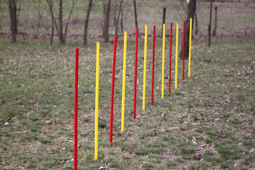 Agility-Set für Hunde - Rot/Gelb - Übungs-Hürden/Slalom-Stangen-Set - Ohne Werkzeug auf/abzubauen -