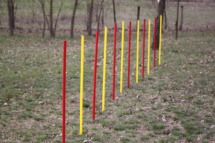 Agility-Set für Hunde - Rot/Gelb - Übungs-Hürden/Slalom-Stangen-Set - Ohne Werkzeug auf/abzubauen -