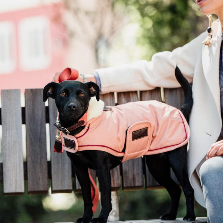 Kentucky Dogwear wasserfester Hundemantel, Grösse:S, Farbe:Coral S coral, S coral