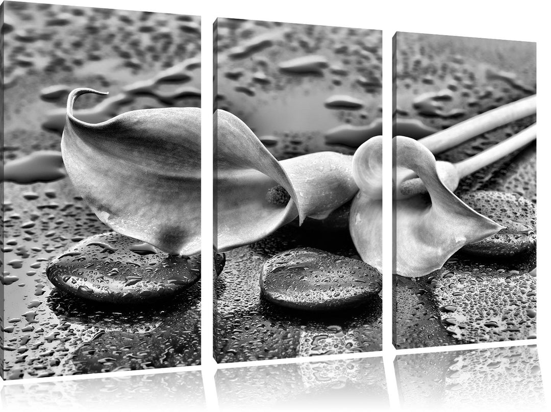 Pixxprint Callas im Regen / 3-Teilig/Gesamtmass 120cm Leinwandbild bespannt auf Holzrahmen/Wandbild