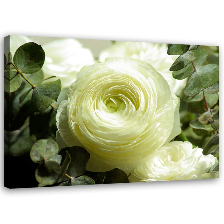 Feeby Bild auf Leinwand Blumen Weisse Rosen XXL 120x80 cm 1Teilig Wohnzimmer Schlafzimmer Modern Bil