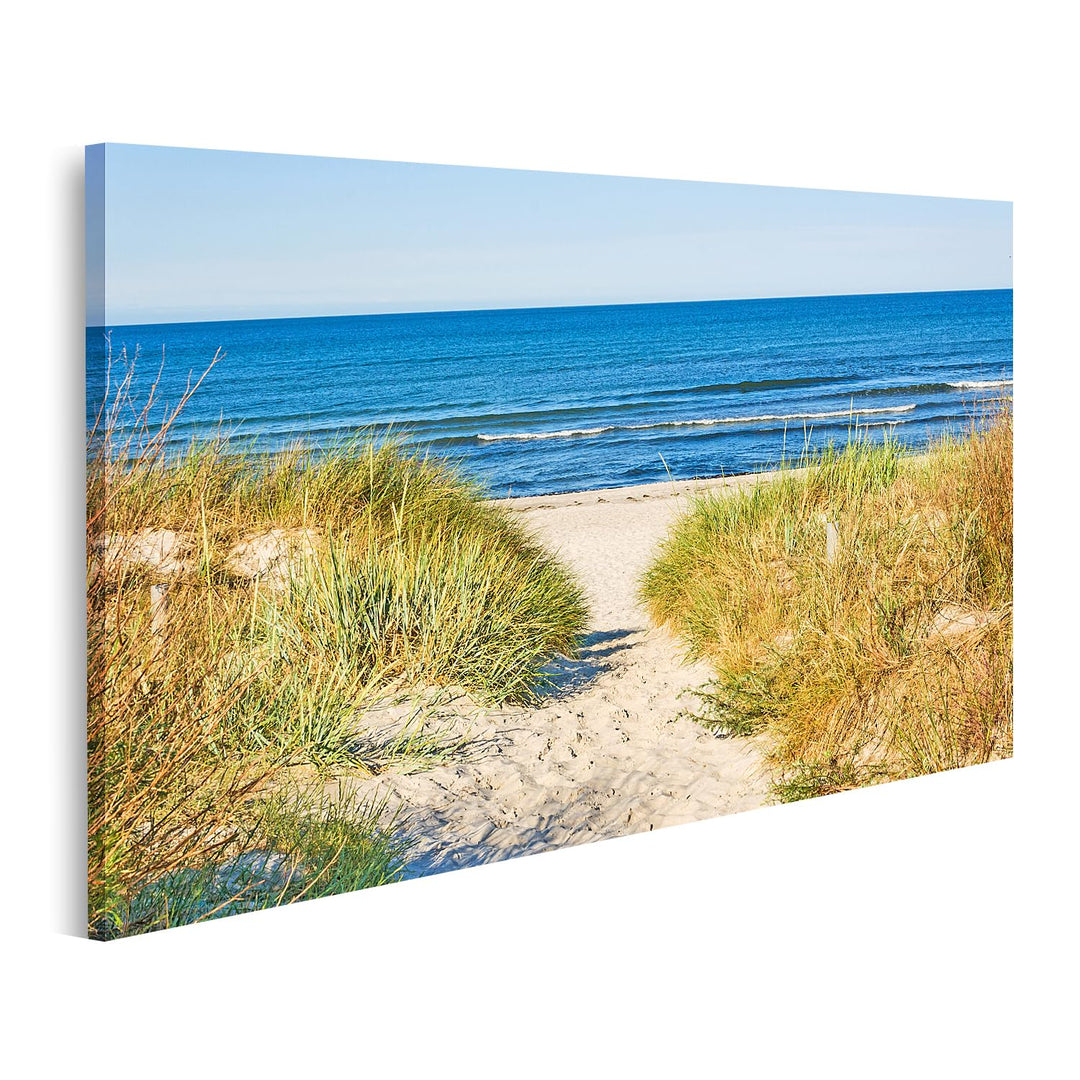 islandburner Bild auf Leinwand Weg Zum Strand An Ostsee Mit Strandhafer Bilder Wandbilder Poster Lei