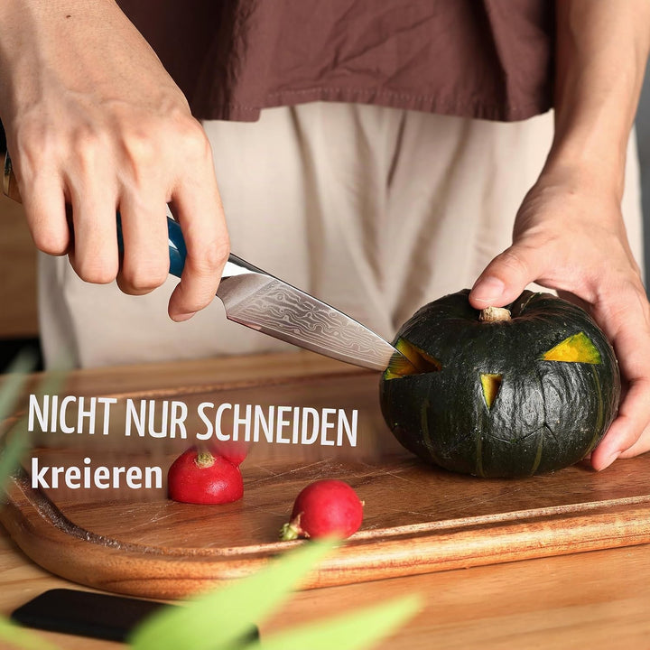 hecef Schälmesser Damast 9cm, Gemüsemesser &amp; Obstmesser Klein mit Ergonomischem Harzgriff, 67-lagige