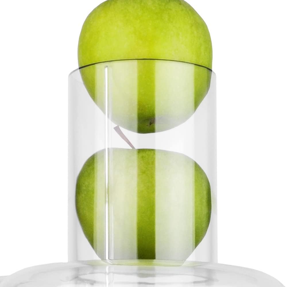 GASTROBACK Vital Juicer Pro, Silber