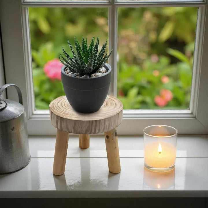 Spetebo Baumscheibe Blumenhocker rund natur Echtholz - 22 x 20 cm - Holz Dekohocker naturbelassen mi
