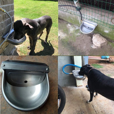 Edelstahl Wassernapf mit 1/2 Zoll Messing Schwimmerventil Hund Automatische Tränke mit Ablassschraub