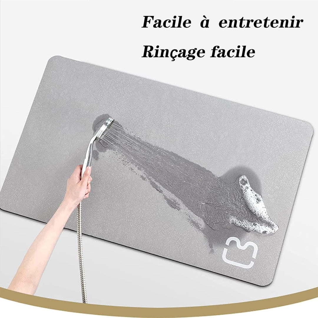 Dai Lufei Badematte Absorbierende, rutschfest Badvorleger Badteppich aus Mikrofaser, Duschmatte ruts
