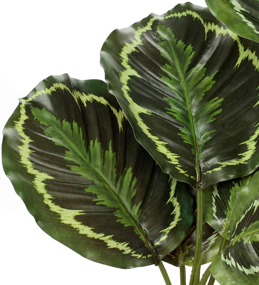 Briful 63CM Künstliche Calathea Medaillon Kunstpflanze Dekopflanze Tropische Zimmerpflanzen im Topf