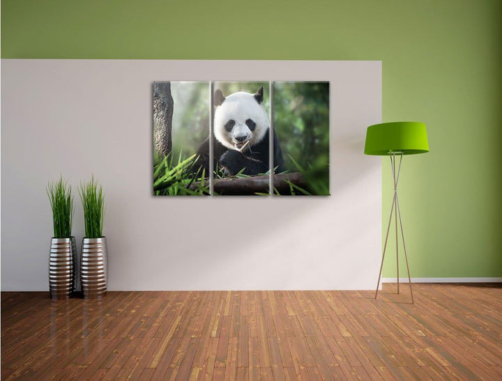 Pixxprint Niedlicher Panda isst Bambus als Leinwandbild - Grösse: 3-Teilig (120x80cm) - Wandbild - K