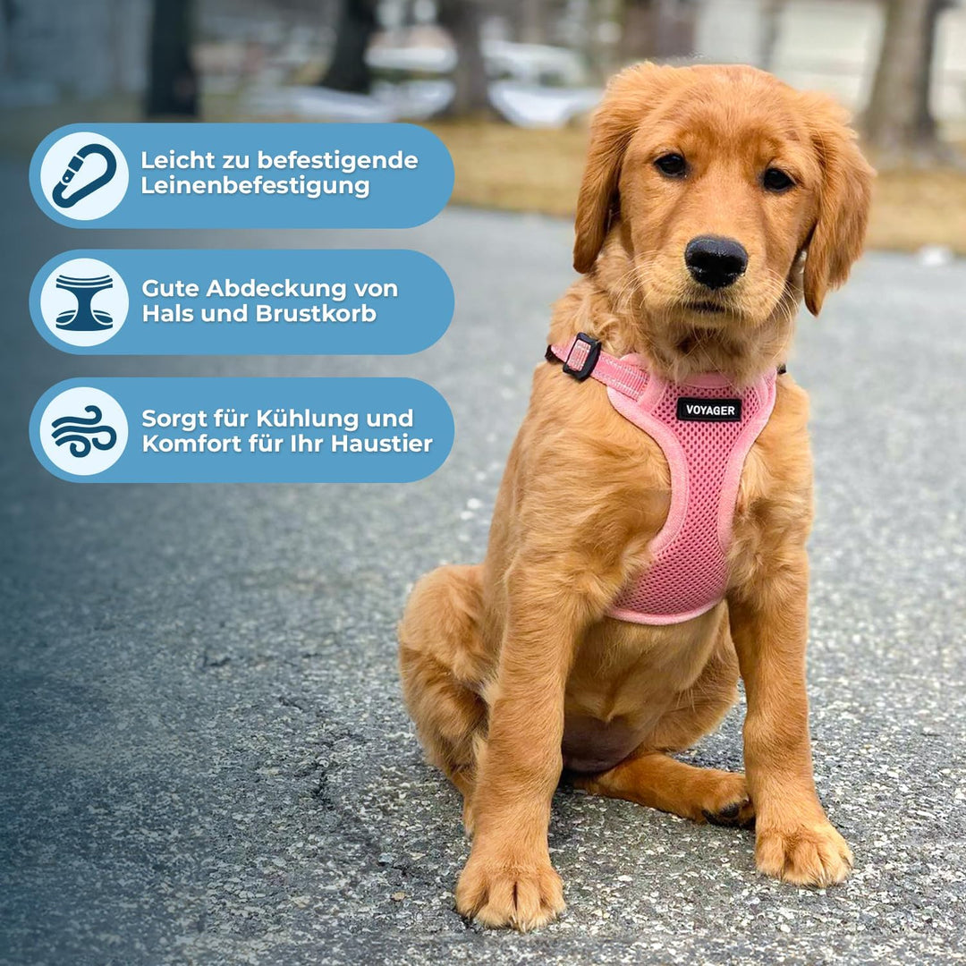 Voyager Verstellbares Hundegeschirr mit Reflektorstreifen by Best Pet Supplies - Strapazierfähige Ga