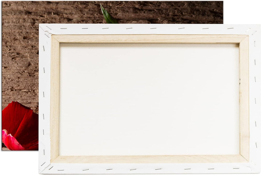 deyoli atemberaubende Rosen im Format: 80x60 als Leinwandbild, Motiv fertig gerahmt auf Echtholzrahm