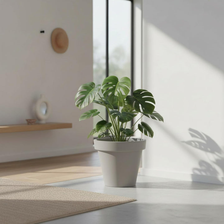 Spetebo Kunststoff Pflanzkübel L rund Ø 48 cm - hellgrau - Blumenkübel gross für Aussen und Innen -