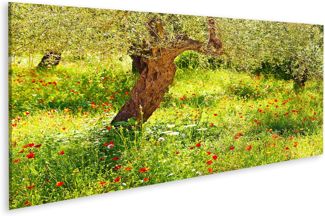 islandburner Bild auf Leinwand Mohnblumen Wiese Baum Bilder Wandbilder Poster Leinwand 120x40cm - Pa