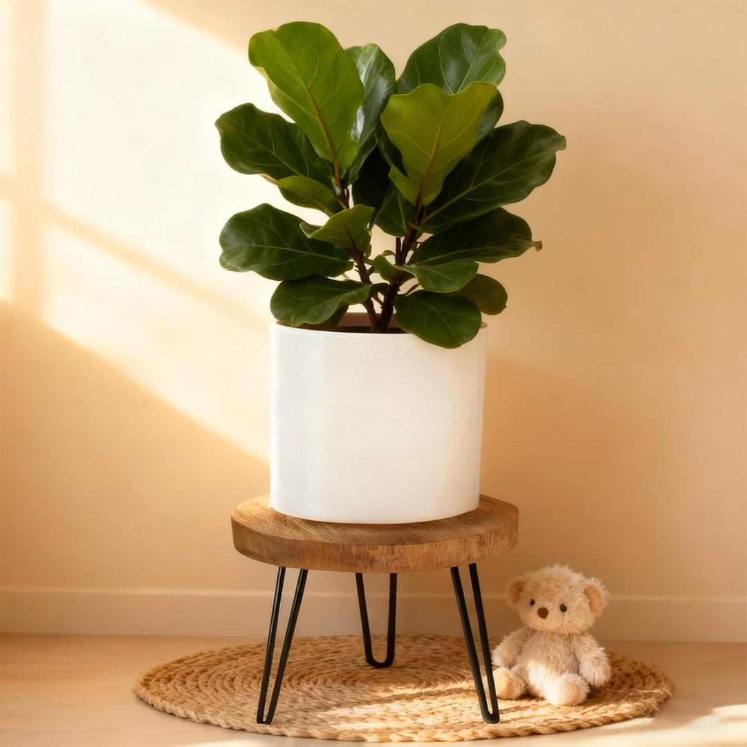 Pflanzenständer aus Holz, Blumenständer Rund Hohe Belastung Blumenhocker 25CM, für Verschiedene Topf
