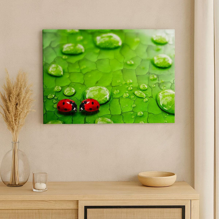 Bilder auf Leinwand Marienkäfer Gras Blatt Tropfen Leinwandbild 70x50cm Wandbilder Dekoration Wohnzi