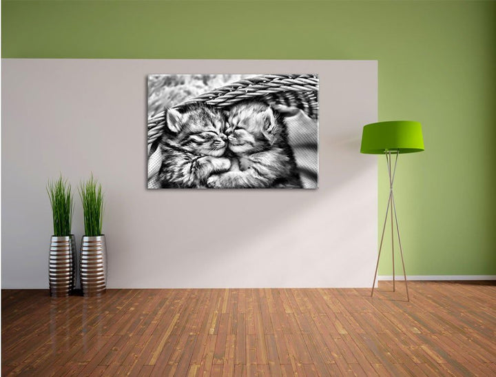 Monocrome, Baby Katze, Format: 100x70 auf Leinwand, XXL riesige Bilder fertig gerahmt mit Keilrahmen