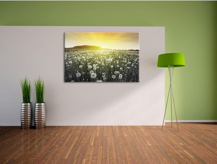 Pixxprint Pusteblumen Sonnenuntergang als Leinwandbild/Grösse: 100x70 / Wandbild/Kunstdruck/fertig b