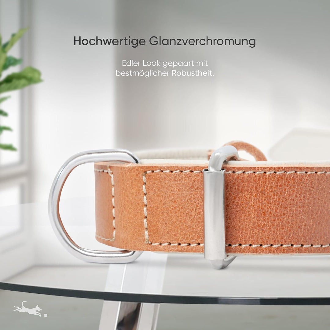 FREUDENTIER® Hundehalsband aus Leder, Made in Holland, gefüttert & super komfortabel, hochwertiges b