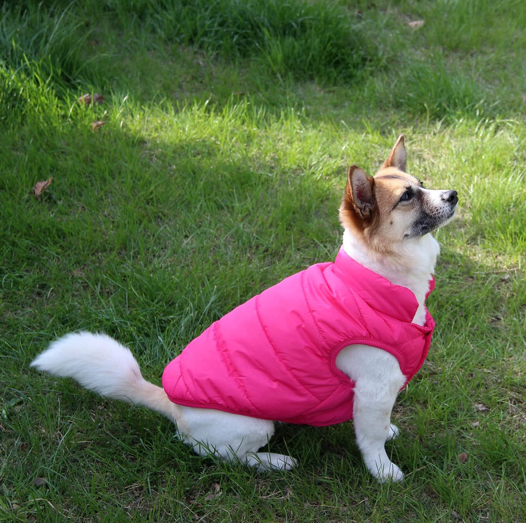 2-lagige mit Fleece gefütterte Hundejacke, sehr warm für Winter und kaltes Wetter, extraweiche, wind
