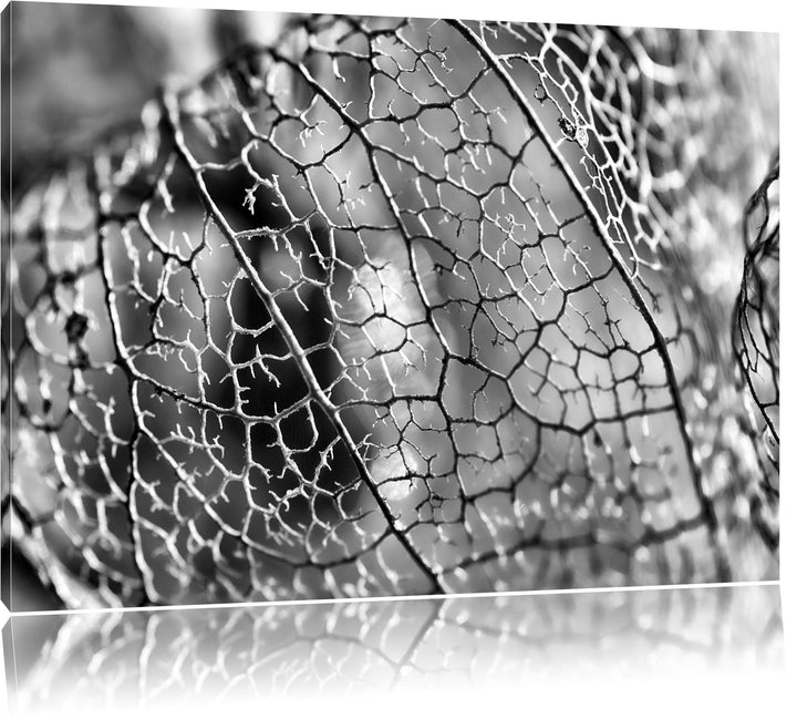 Monocrome, Rote Physalis, Format: 100x70 auf Leinwand, XXL riesige Bilder fertig gerahmt mit Keilrah