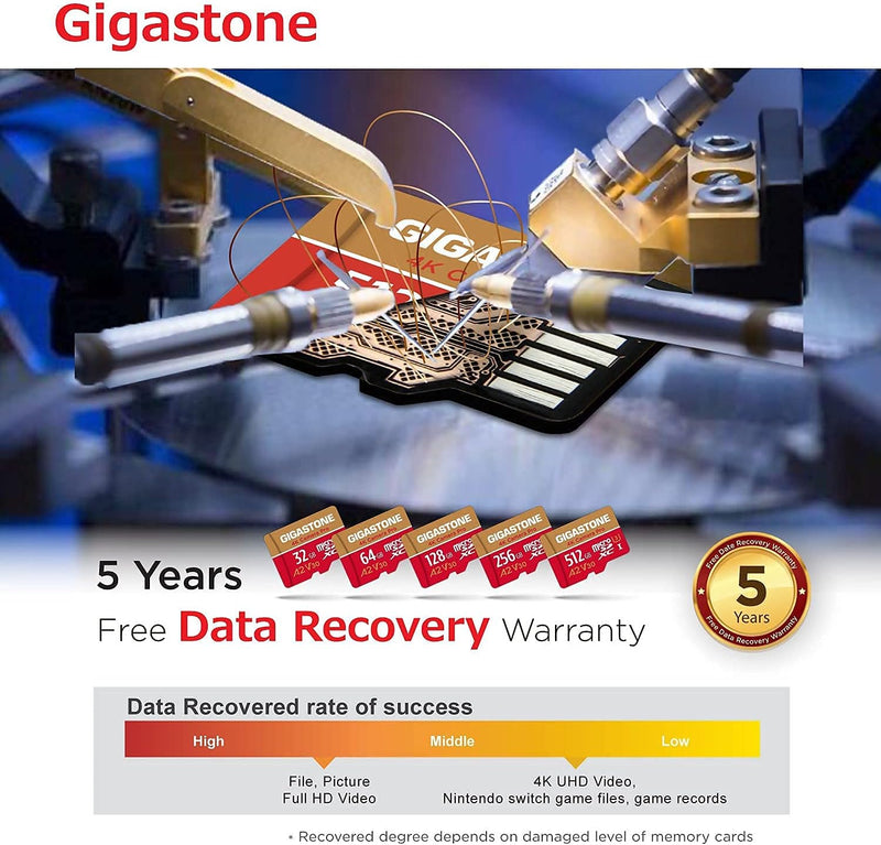 [5 Jahre kostenlose Datenwiederherstellung] Gigastone 4K Kamera Pro 256GB MicroSDXC Speicherkarte 2e